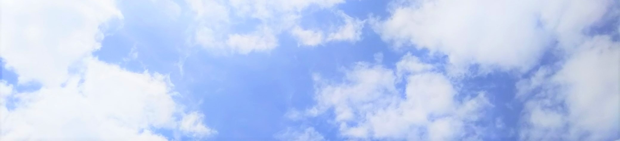 所得税案内サイト